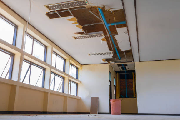 Best Flood damage cleanup  in Santa Ana, CA