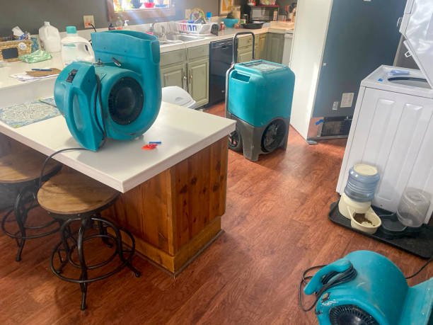 Best Water damage restoration near me  in Santa Ana, CA