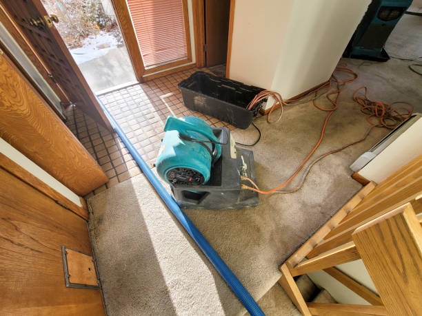 Best Residential water damage restoration  in Santa Ana, CA