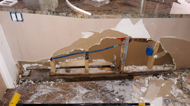 Best Water damage cleanup near me  in Santa Ana, CA