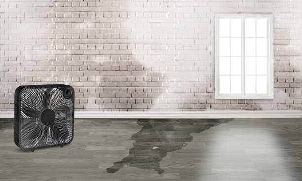 Best Flooded house restoration  in Santa Ana, CA