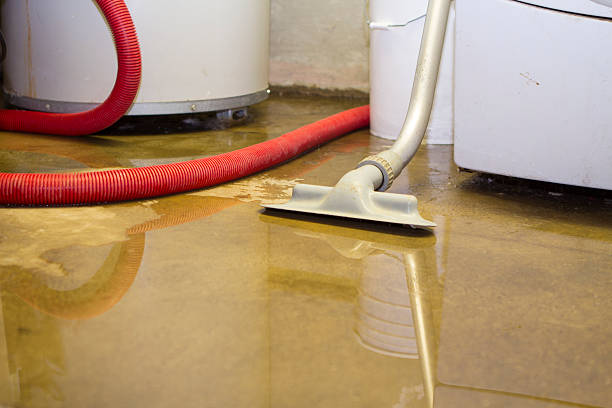 Best Flood damage cleanup  in Santa Ana, CA