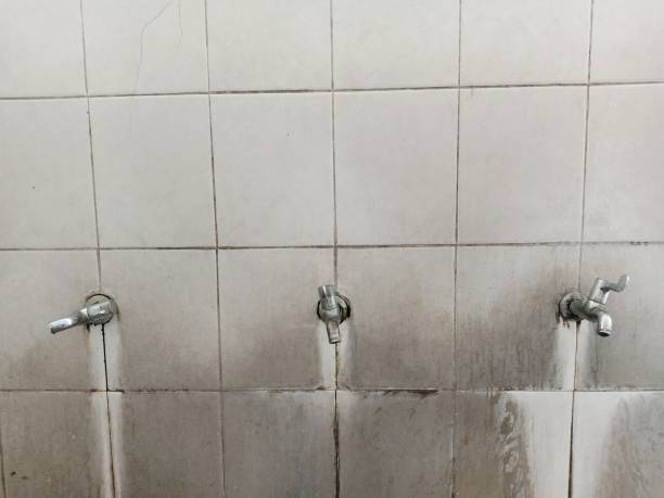 Best Water damage restoration company  in Santa Ana, CA