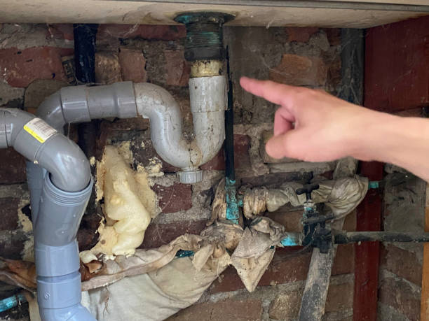 Best Water damage contractors near me  in Santa Ana, CA