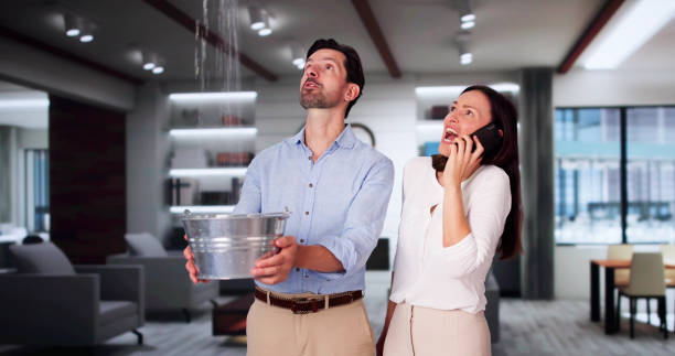 Best Professional water damage repair  in Santa Ana, CA